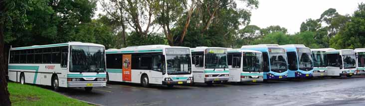 Forest Coach Lines depot